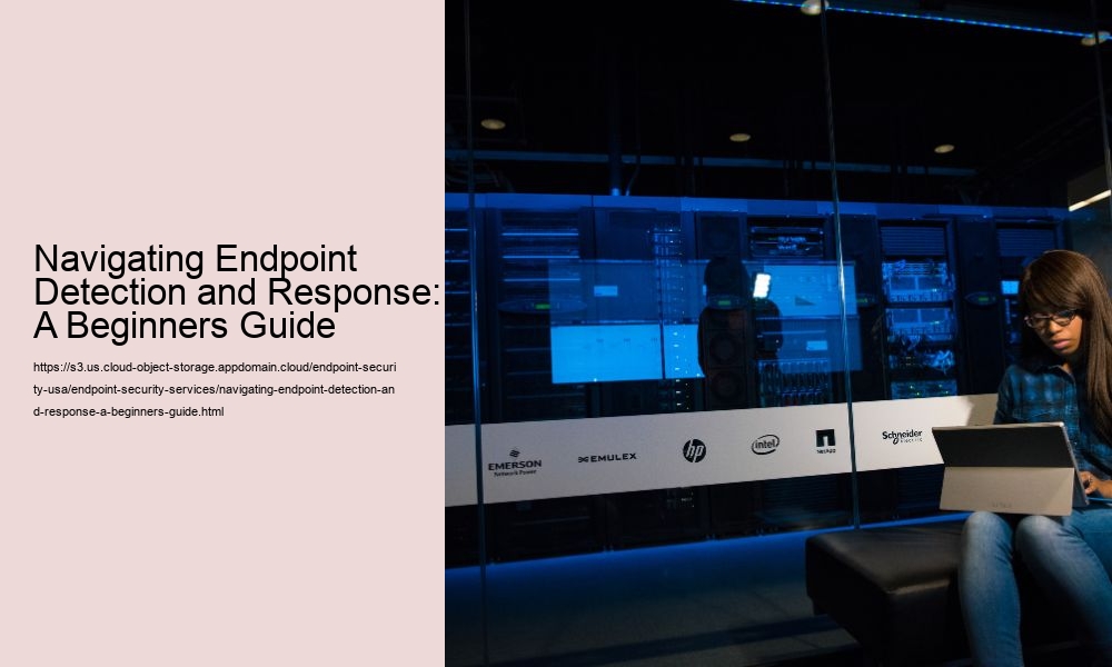 Navigating Endpoint Detection and Response: A Beginners Guide